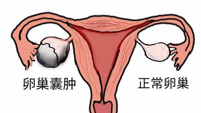 下載.jpg