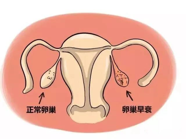 微信圖片_20200810165821.jpg