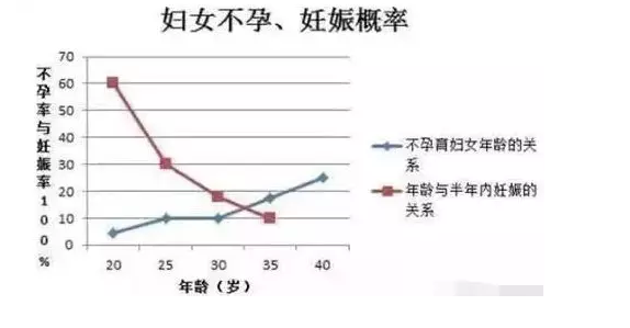 QQ圖片20190315105002.png