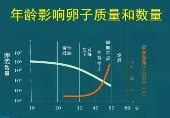 QQ圖片20190315104948.png