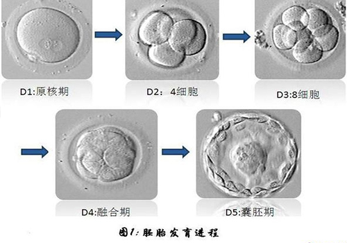 255455-恢復(fù)的.jpg
