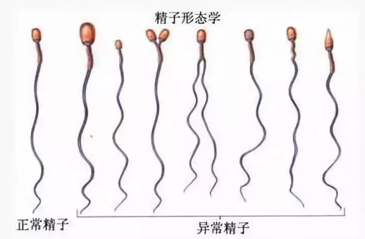QQ圖片20190114165313.png