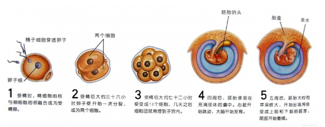 QQ圖片20190321104949.png