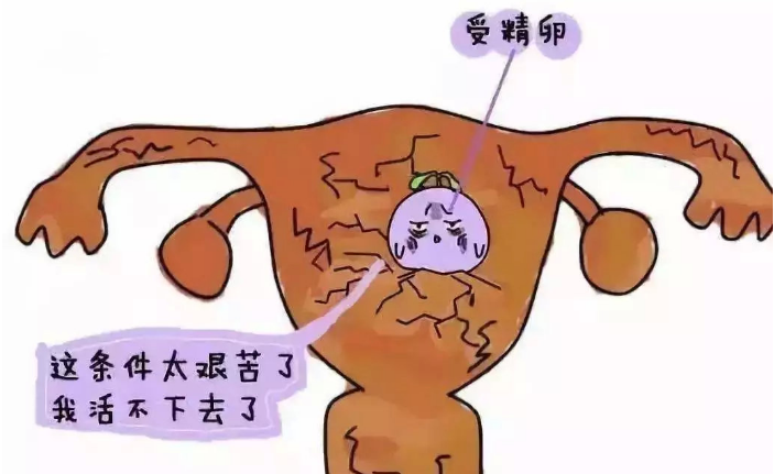 QQ圖片20190401111537.png