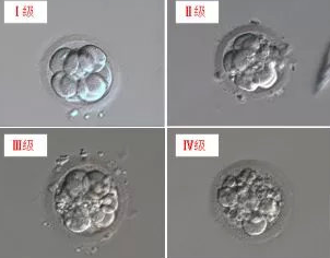 QQ圖片20190401111635.png