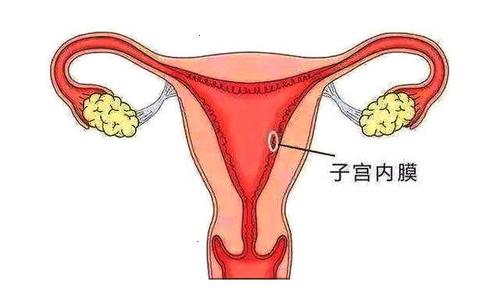 下載 (1).jpg