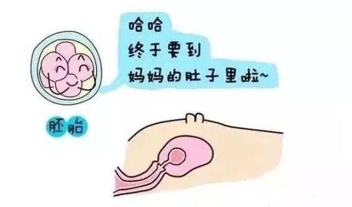 640.webp (2).jpg
