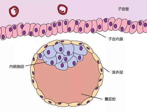 640.webp (2).jpg