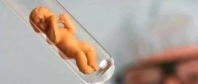 微信圖片_20200804144731.jpg
