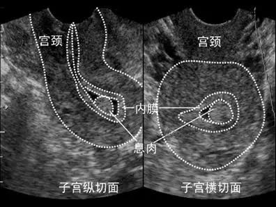 微信圖片_20200810170736.jpg
