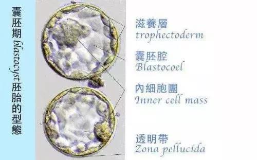 微信圖片_20200814023438.jpg