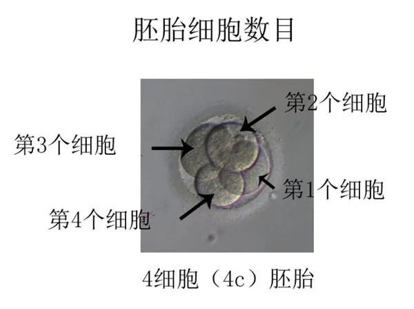 微信圖片_20200814172239.jpg