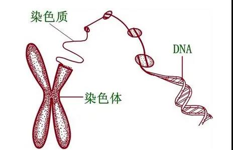 微信圖片_20200814172734.jpg