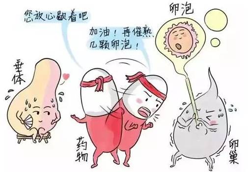 微信圖片_20200815224531.jpg