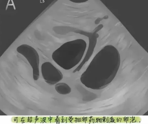 微信圖片_20200815224538.png