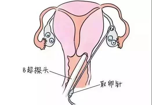 微信圖片_20200815224544.jpg