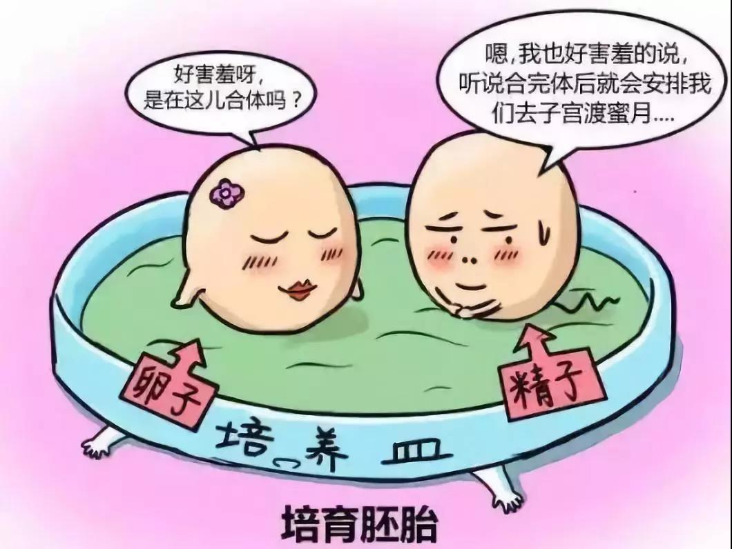 微信圖片_20200815224554.jpg