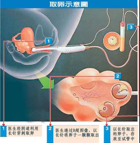 微信圖片_20200815225231.jpg