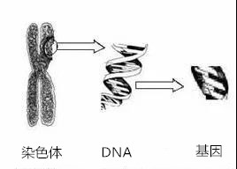 微信圖片_20200815225251.jpg