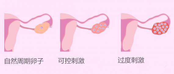 微信圖片_20200815225946.jpg