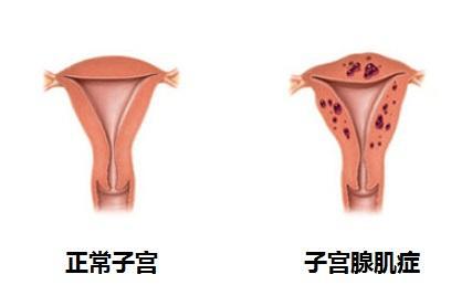 下載 (1).jpg
