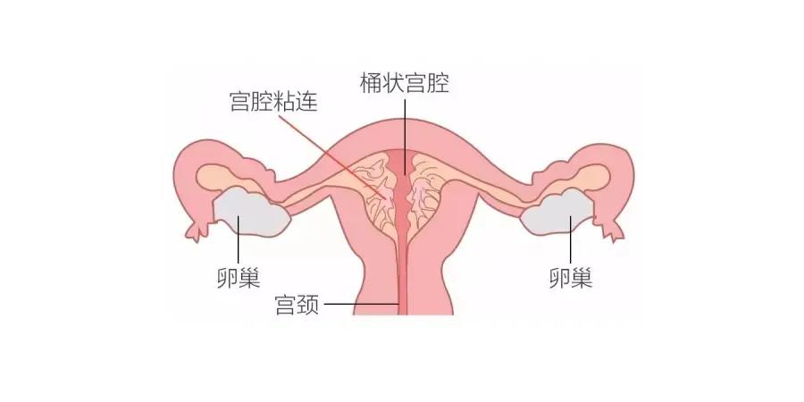 微信圖片_20200925101411.jpg