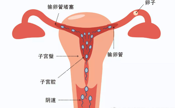 QQ圖片20200927165656.png