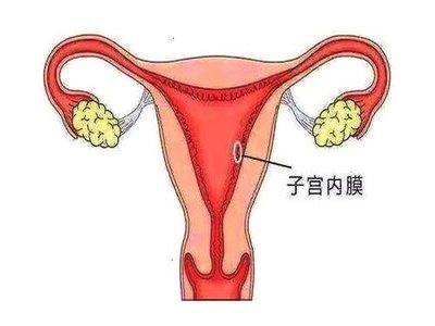 下載 (1).jpg