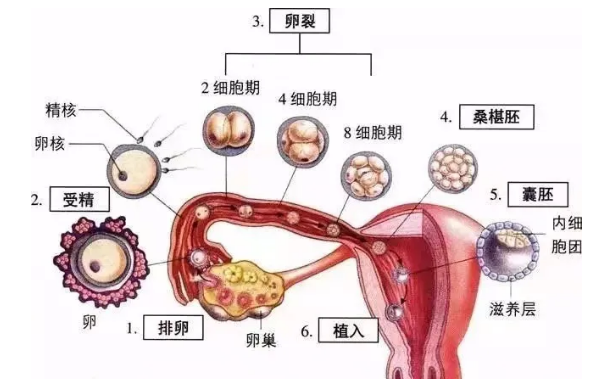 QQ圖片20201111101159.png