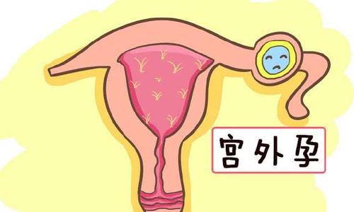 下載 (2).jpg