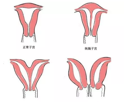 QQ圖片20210413094623.png