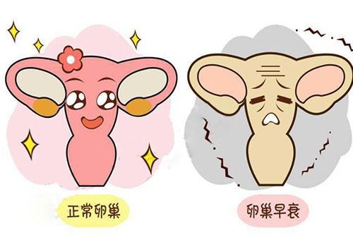 src=http_%2F%2Fwww.mengyimei.com%2Fuploadfile%2F2019%2F1127%2F20191127043342798.jpeg&refer=http_%2F%2Fwww.mengyimei.jpg