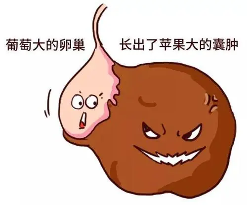 u=1265804375,1596371470&fm=26&fmt=auto&gp=0.jpg