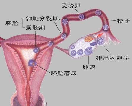 微信圖片_20210526154818.jpg