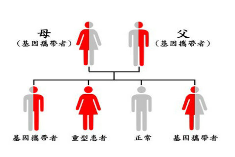 圖片2.png